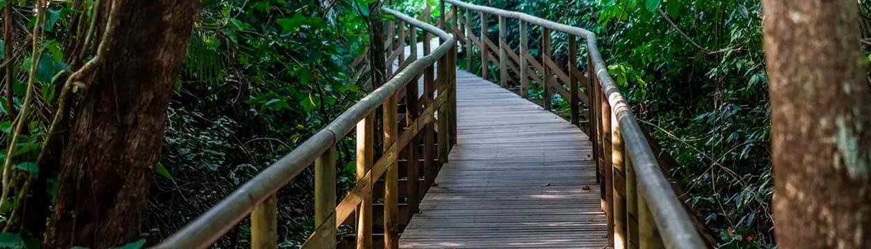 Imagen principal del destino AMERICA