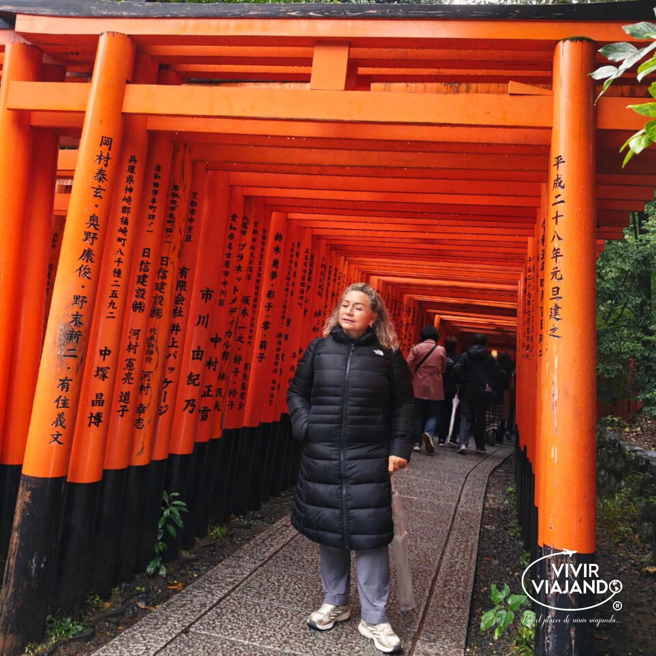 VIVIENDO ASIA MEJORADO