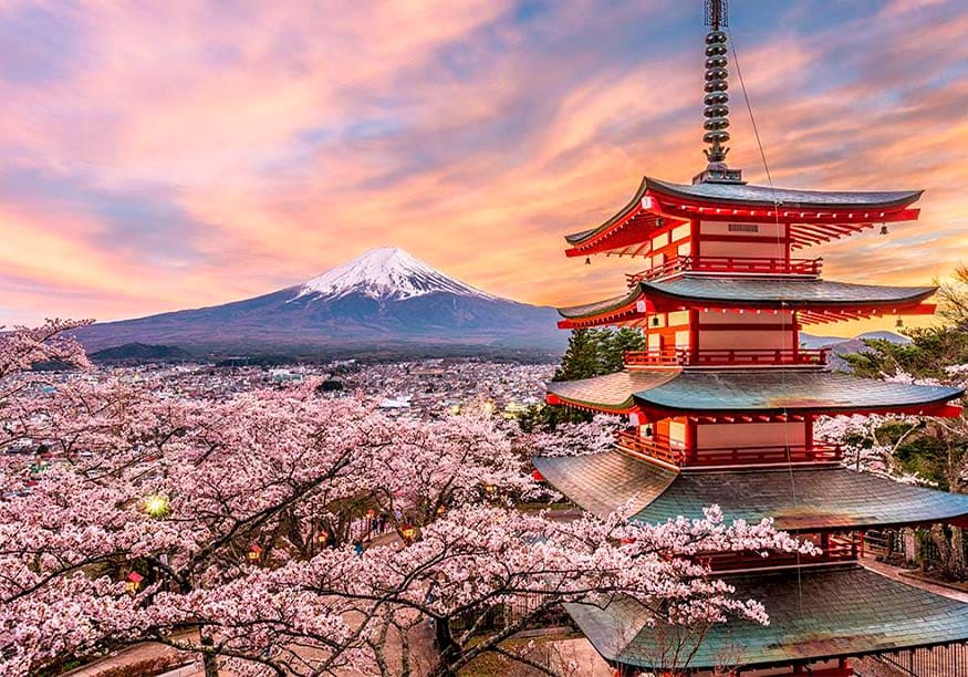 VIVIENDO ASIA